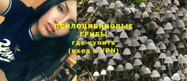 спиды Алексин
