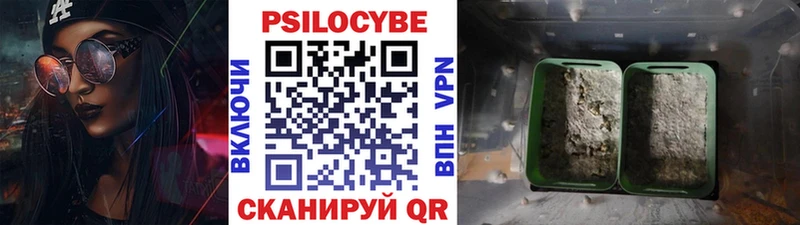 Галлюциногенные грибы мухоморы  дарнет шоп  Златоуст 